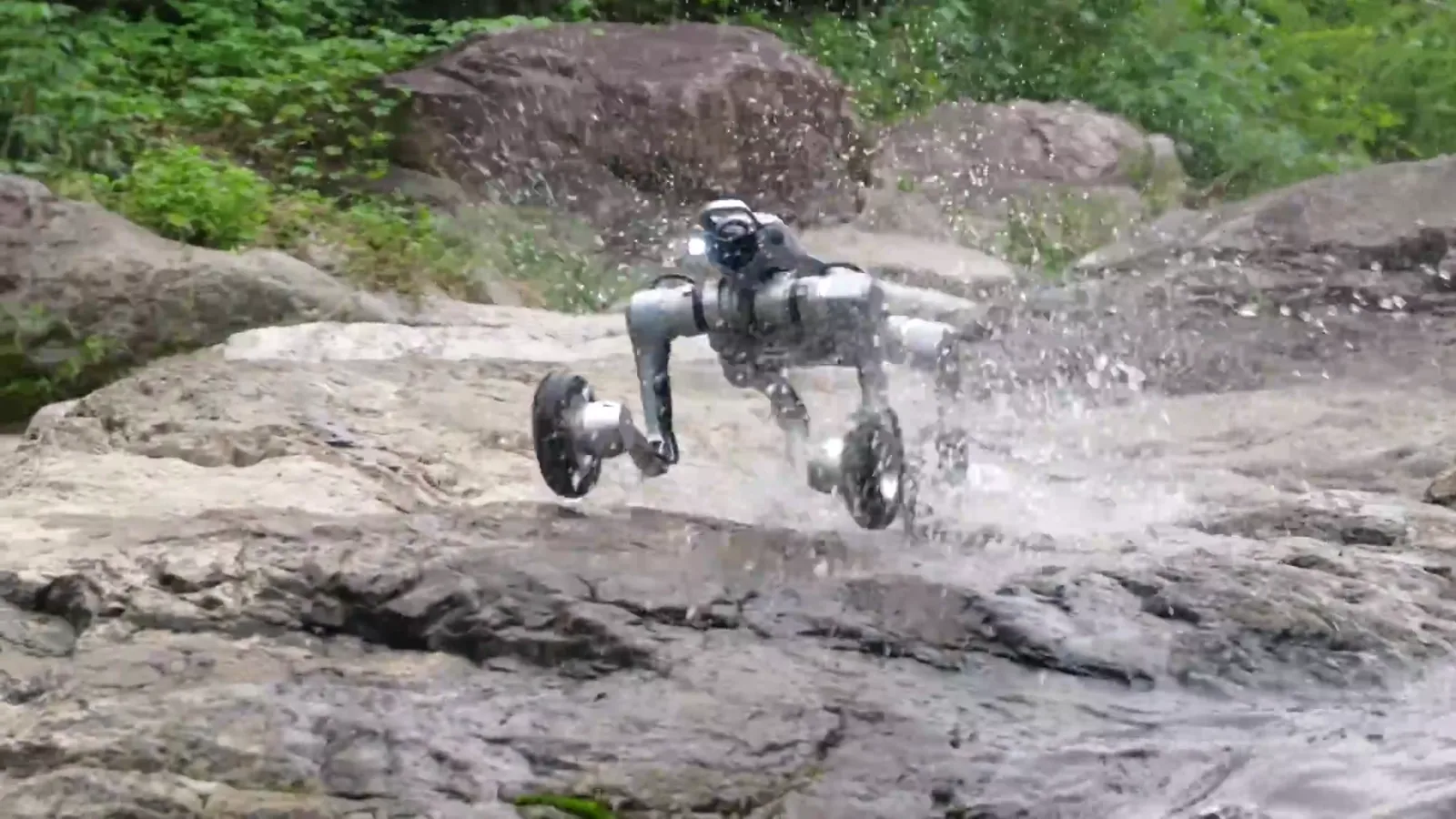 Robot tout-terrain Unitree AS2-W traversant une rivière en éclaboussant, démonstration d’étanchéité IP54