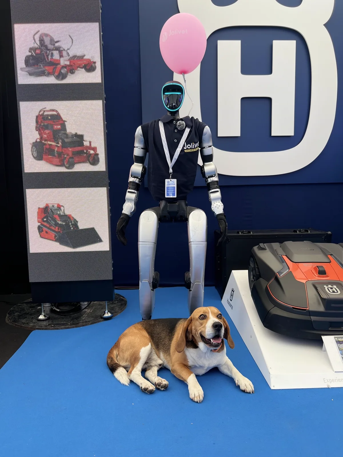 Le robot en polo Jolivet avec un ballon rose Jolivet et un badge exposant, un beagle couché devant lui sur le tapis bleu