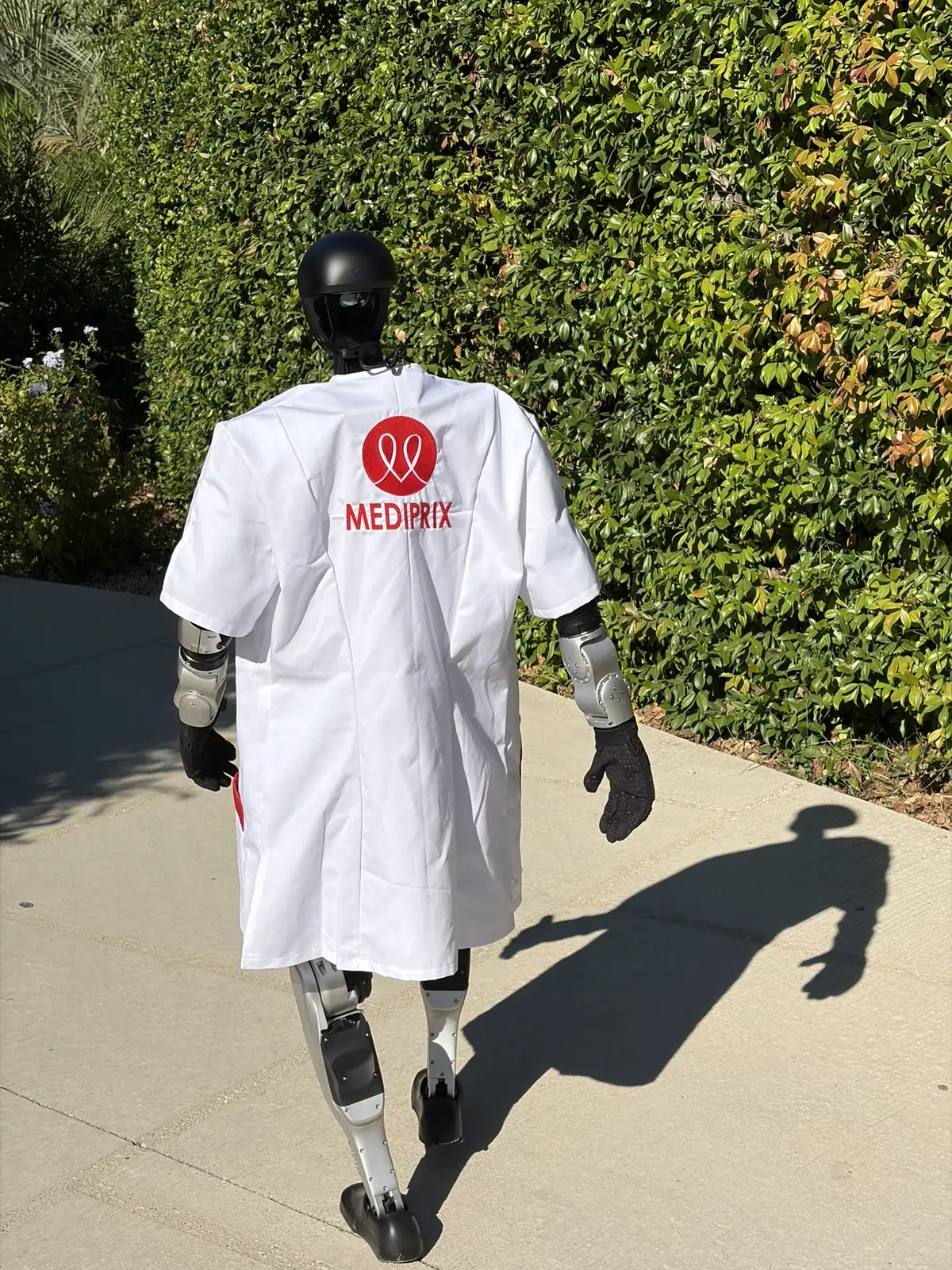 Le robot humanoïde de dos, en blouse blanche frappée du logo Médiprix, marche sur une allée bordée de haies