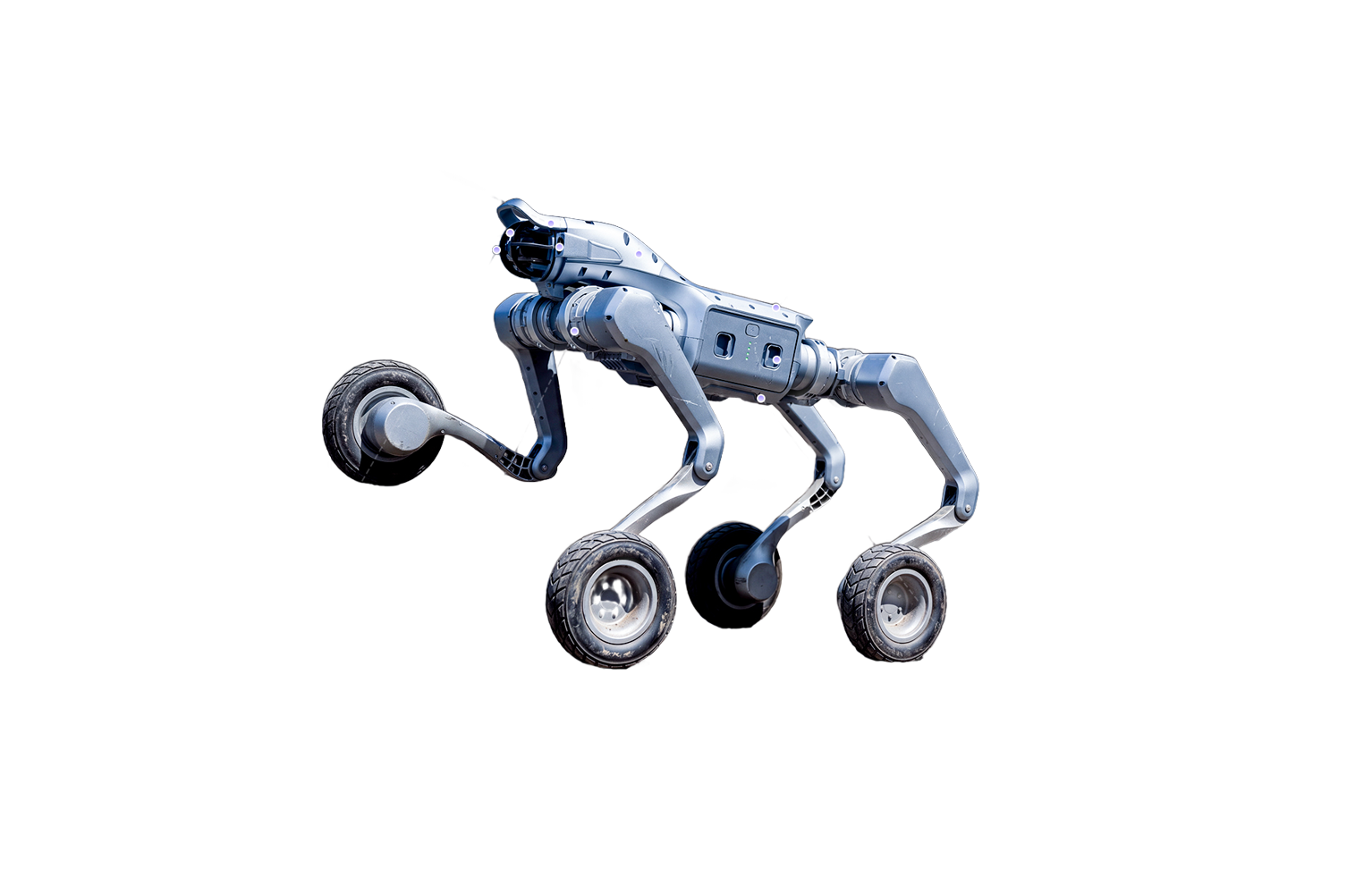 Robot quadrupède à roues Unitree AS2-W détouré, jambes articulées et roues motorisées de 7 pouces
